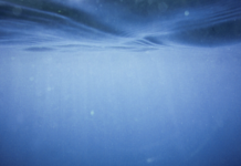 Surfrider Foundation Europe : ONE OCEAN GALA, une soirée à ne pas manquer