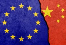 Les entreprises chinoises dans l’UE enregistrent des performances stables, voire en hausse, malgré un contexte incertain