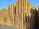 Selva Group : Des solutions en bois durables pour l’industrie et la logistique
