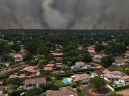 Incendies en Gironde : les entreprises jugent les annonces du gouvernement encore insuffisantes